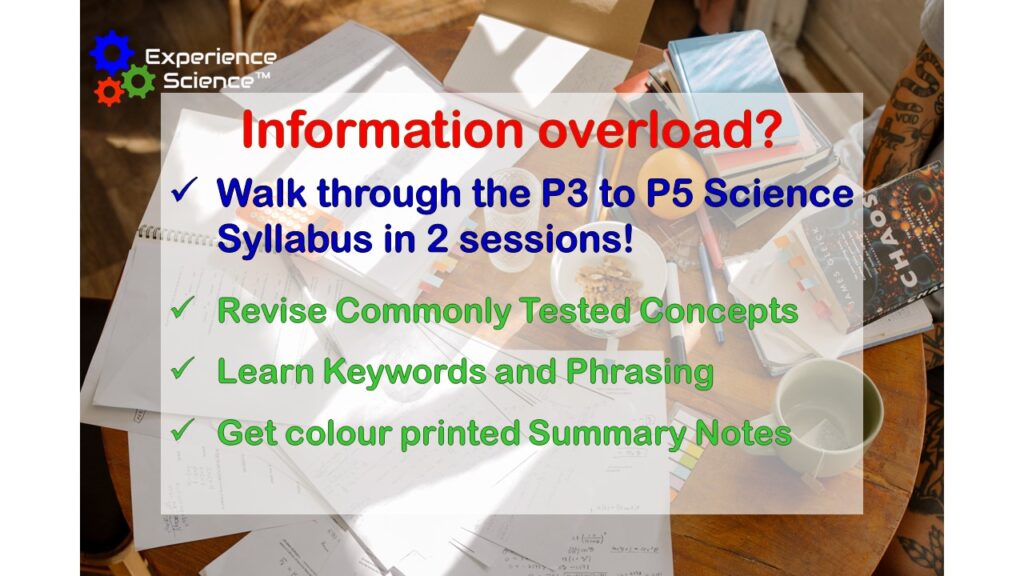 Walk Thru P3 to P5 Revision (PSLE Marking Days) Experience Science